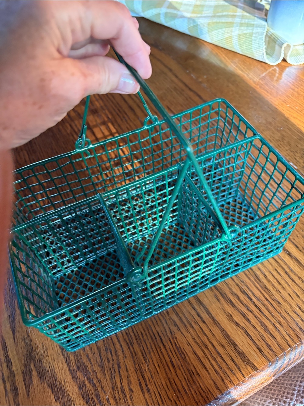 Green Wire Mesh Divided Storage Basket picnic holds paper plates utensils craft